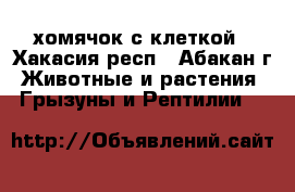 хомячок с клеткой - Хакасия респ., Абакан г. Животные и растения » Грызуны и Рептилии   